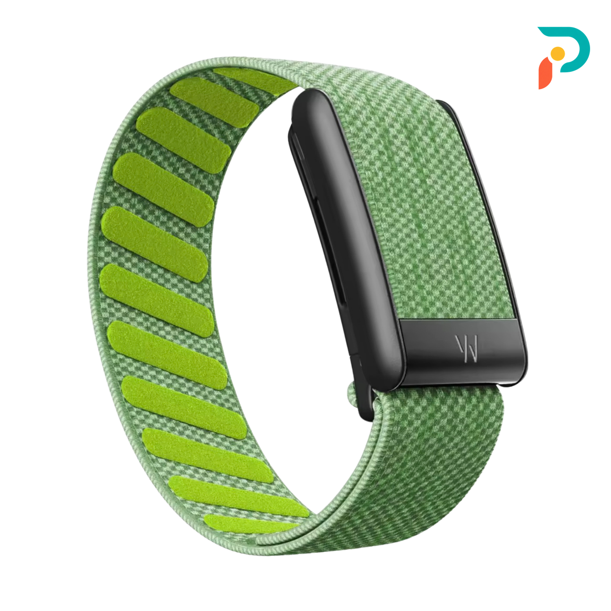 Lime SuperKnit — Black Buckle