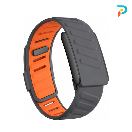 Dark Grey SportFlex — Black Buckle