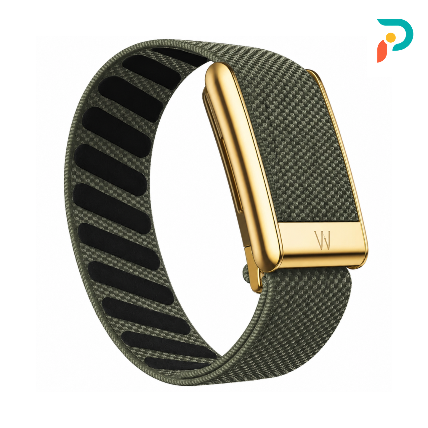 Army Green SuperKnit — Gold Buckle