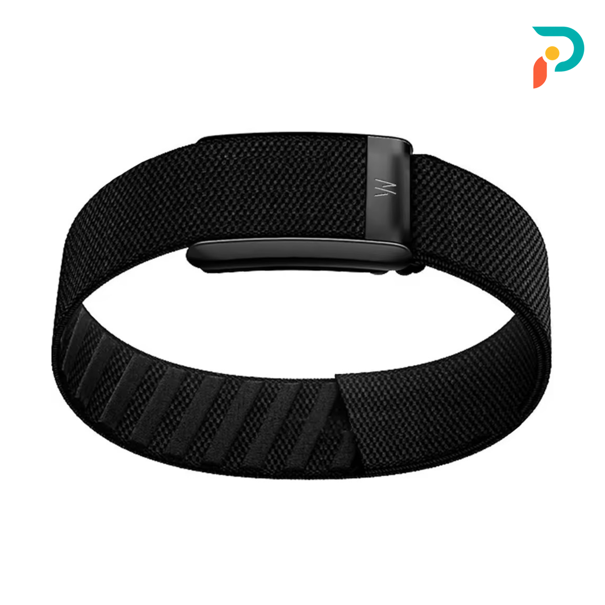 Black Biceps Band