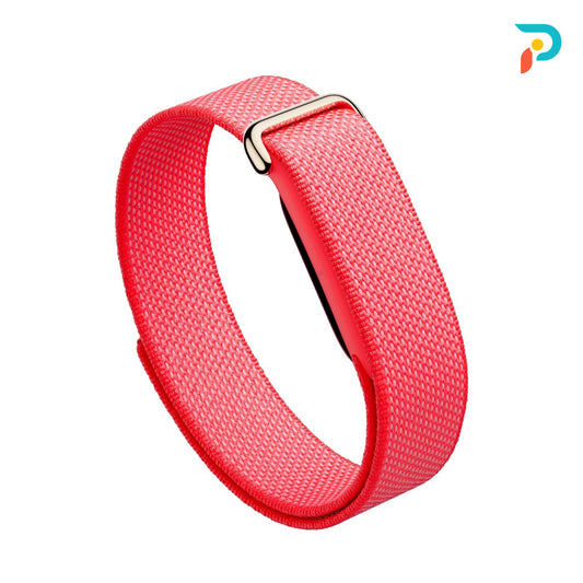 Google Fitbit Air Berry