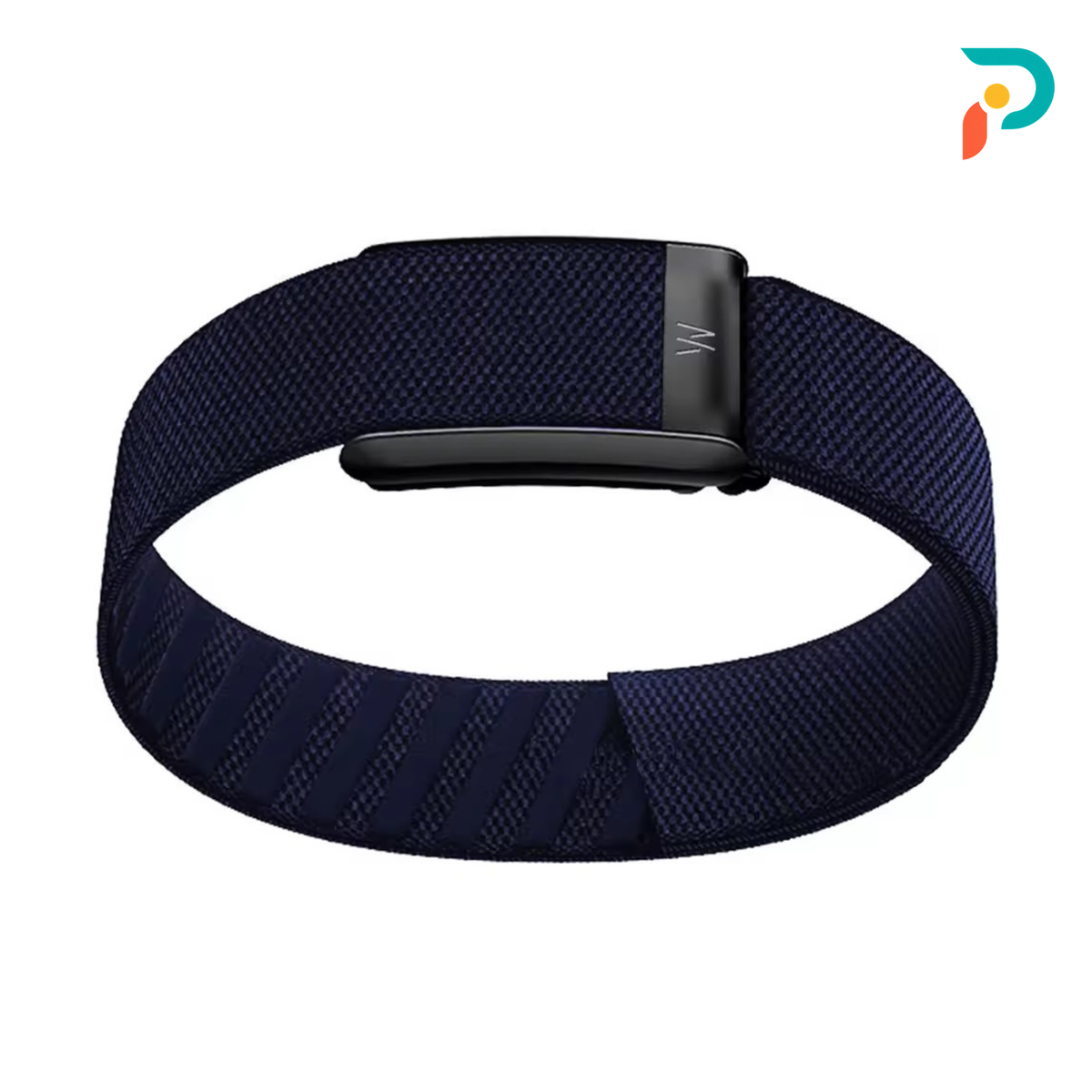 Midnight Biceps Band