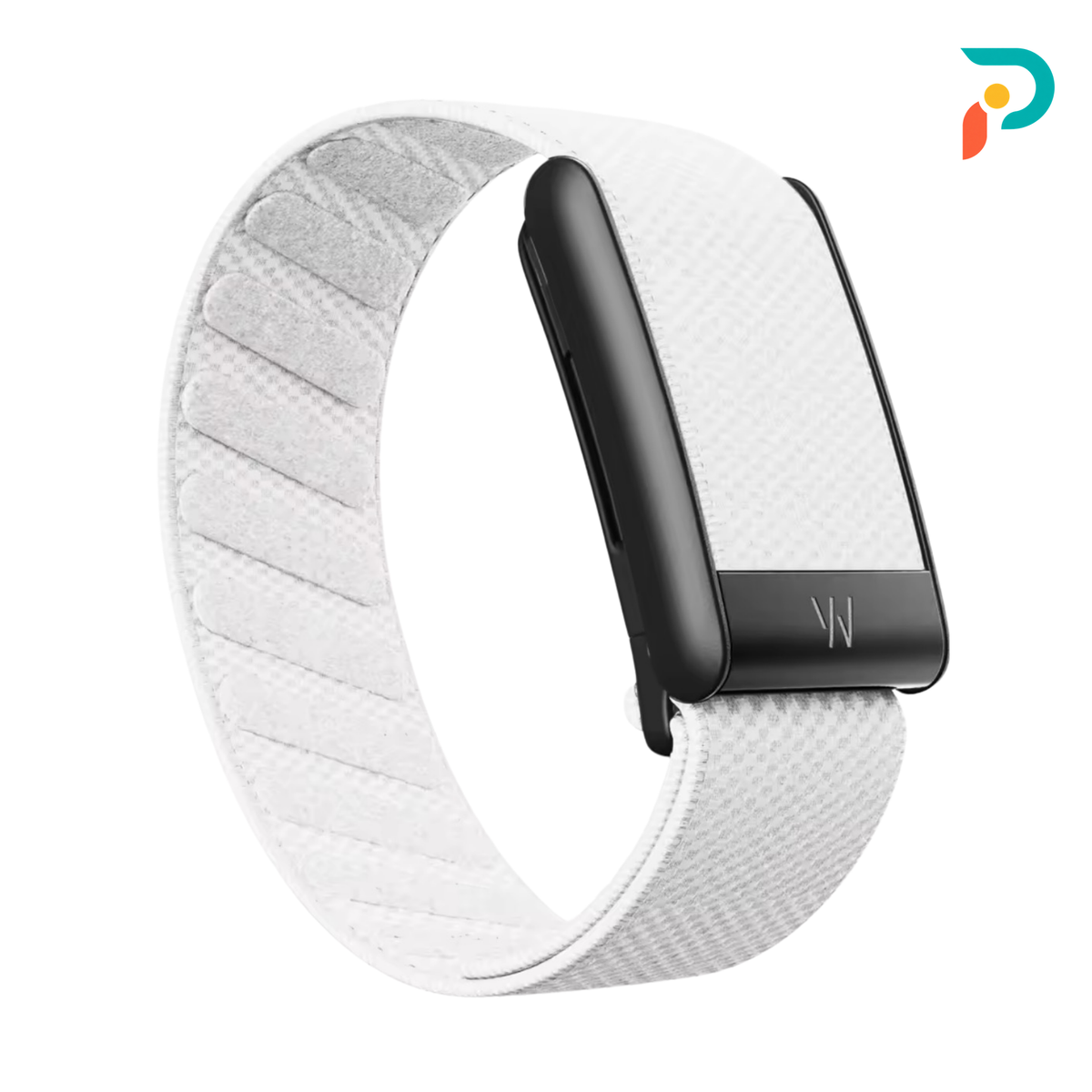 White SuperKnit — Black Buckle